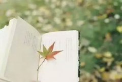 如何找到高质量的Essay代写？