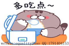 Essay代写：哪些小技巧和细节需要注意？