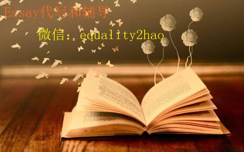 北美数学math作业代写，论文代写美国数学essay