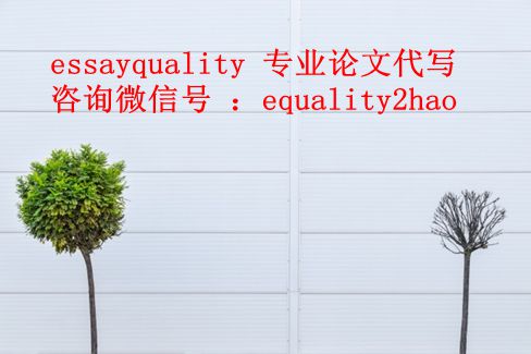 美国知名大学论文代写_essayquality专业论文代写