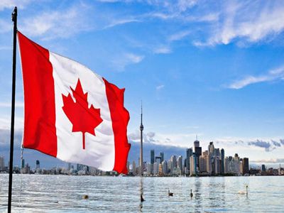 加拿大网课代考：留学生奖学金发放方式！