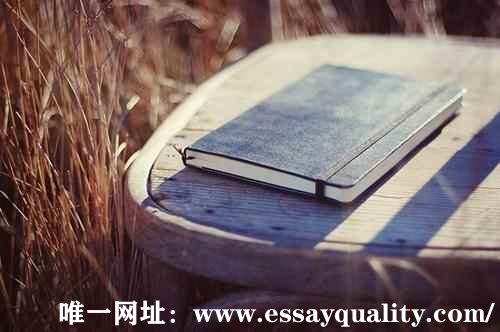 代上网课机构_essayquality为您排忧解难