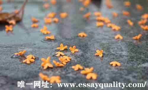 北美网课代考_致力于成为北美代考行业的风向标