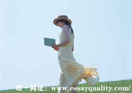 如何全面了解代写Essay机构？