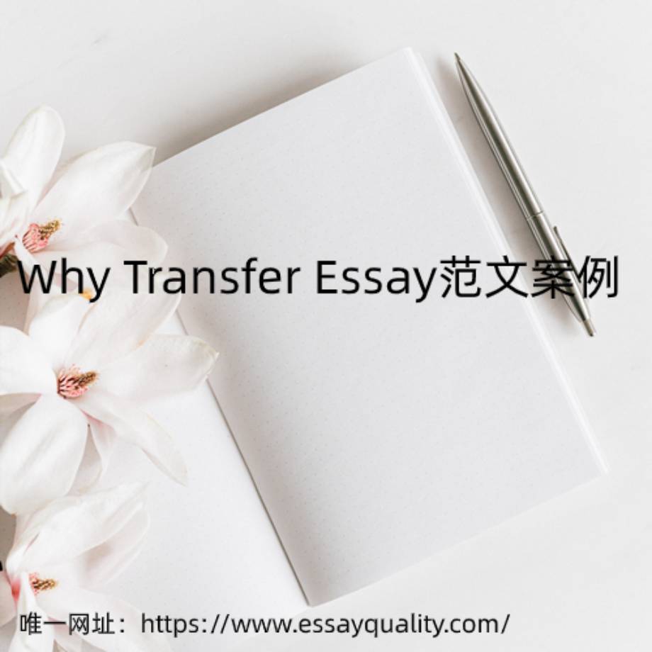 Why Transfer Essay范文案例