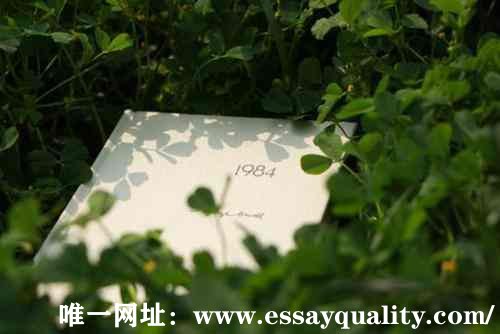 英国留学论文代写_母语老师代写，高分保证