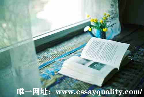 唯一网址：www.essayquality.com