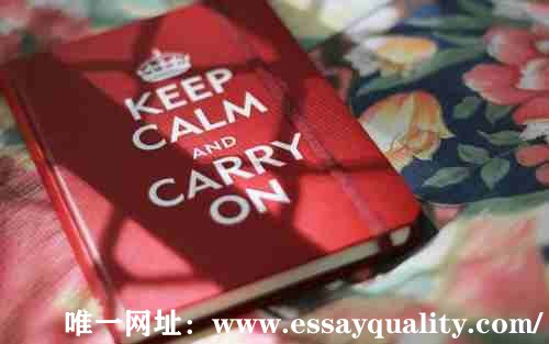 英文Essay代写,学术Essay代写