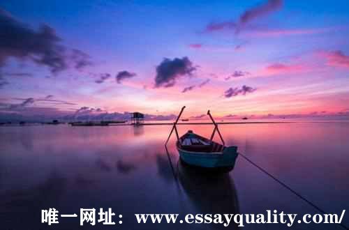 英语论文代写,英语Essay代写