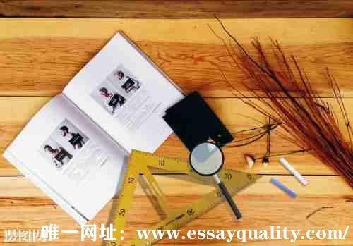 essayquality唯一网址：https://www.essayquality.com/代写，Essay代写收费