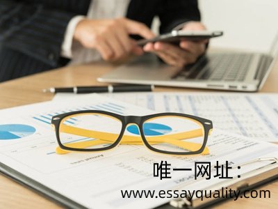 美国Academic Essay代写,网课Essay代写