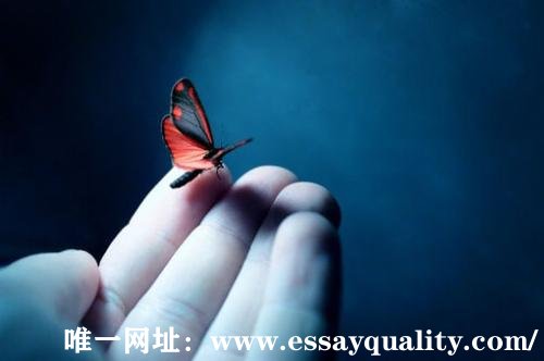 Essay开头怎么写,Essay代写