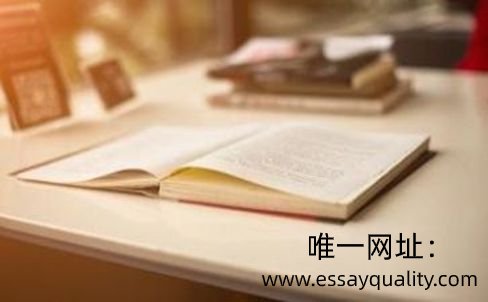 留学经济作业代写，不可单独依赖社交工具