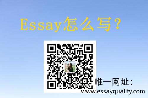 Essay怎么写