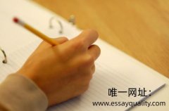 美国留学生essay写作格式_essay范文案例