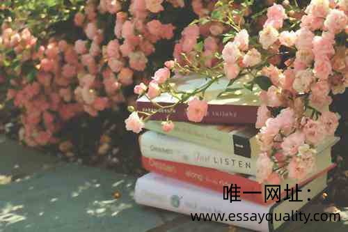 essayquality_最好的专业代写essay公司