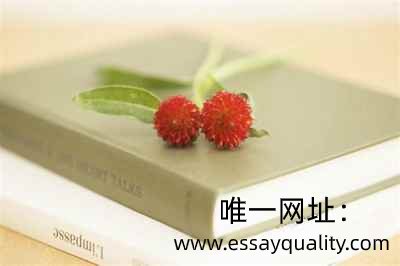 为什么说essayquality是代上网课的最佳选择