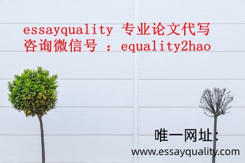 学术论文组成部分解析,essay论文代写,专业代写