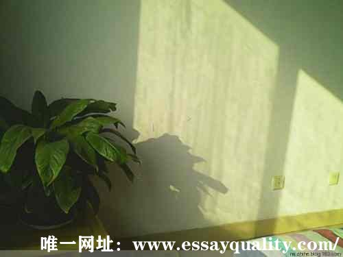 Process Essay代写,专业代写Essay