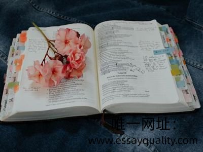 唯一网址：https://www.essayquality.com/