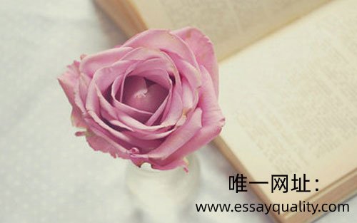 全包网课,网课代考