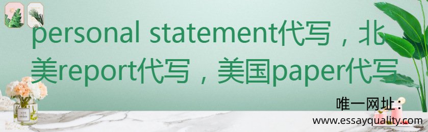 PERSONAL STATEMENT代写，北美REPORT代写，美国PAPER代写
