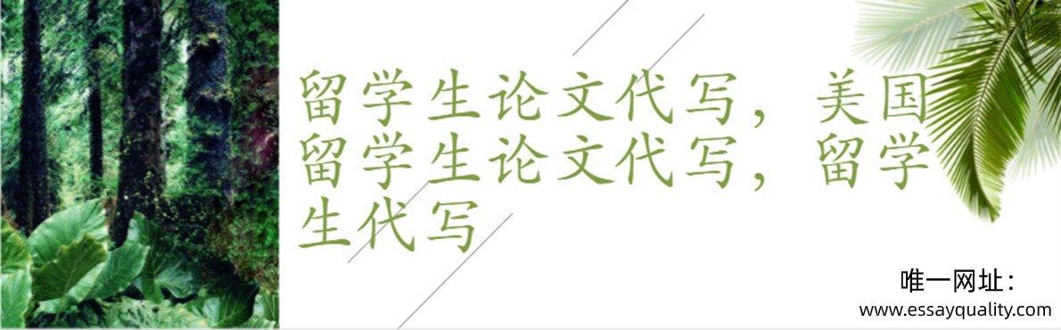 留学生论文代写，美国留学生essay代写，留学生代写